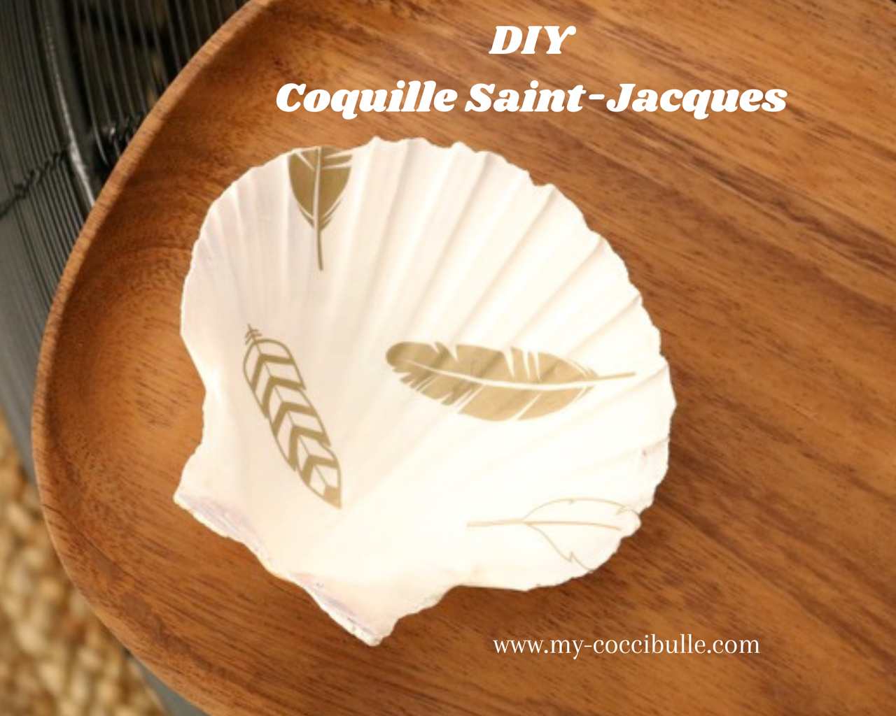 DIY Coquille Saint-Jacques